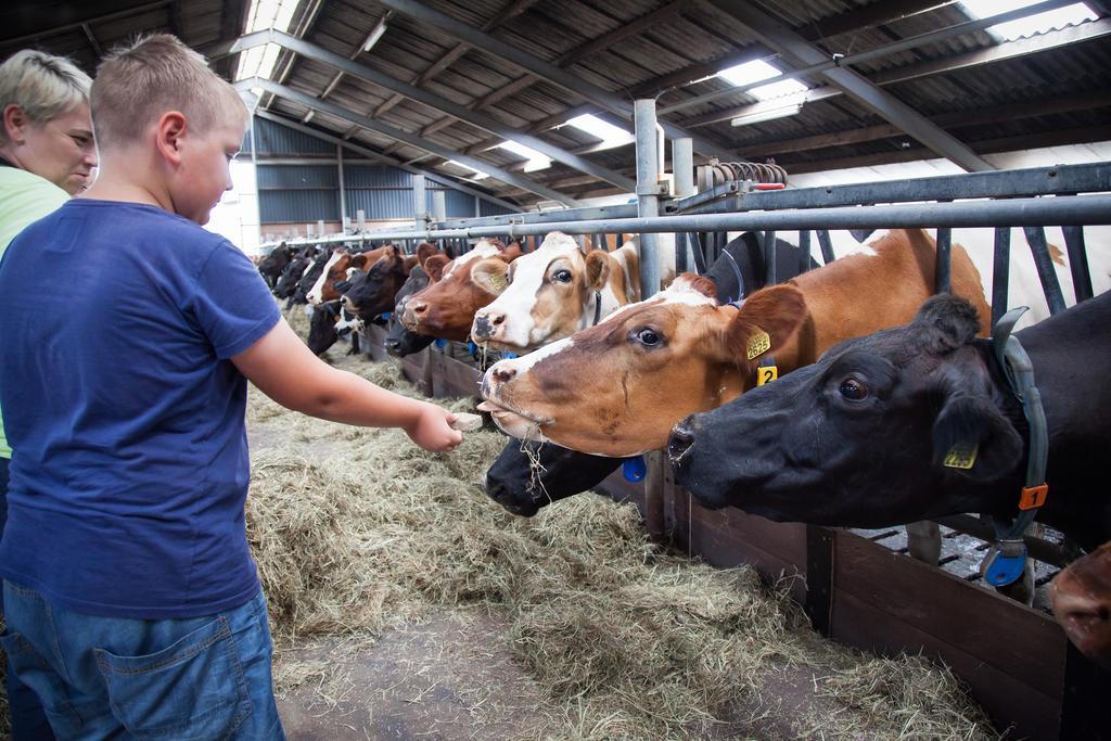 Farm Overleekerhoeve Monnickendam Kültér fotó