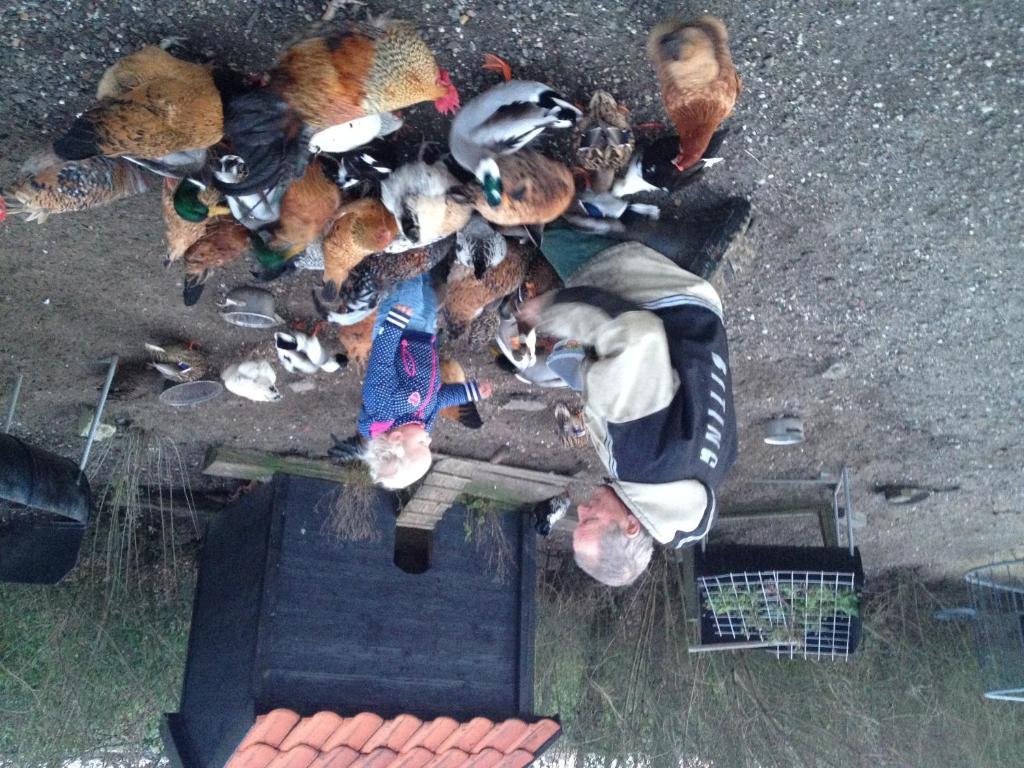 Farm Overleekerhoeve Monnickendam Kültér fotó